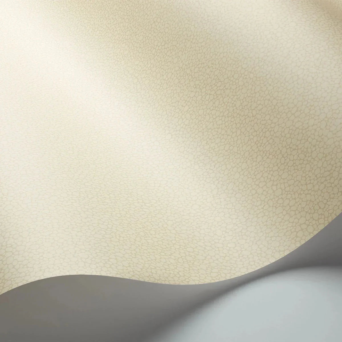 Pebble Wallpaper - Cole & Son