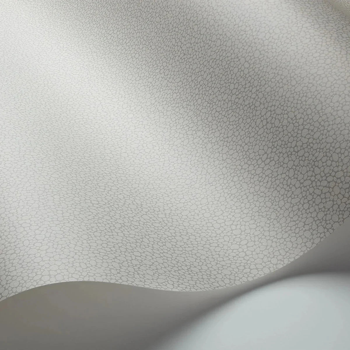Pebble Wallpaper - Cole & Son