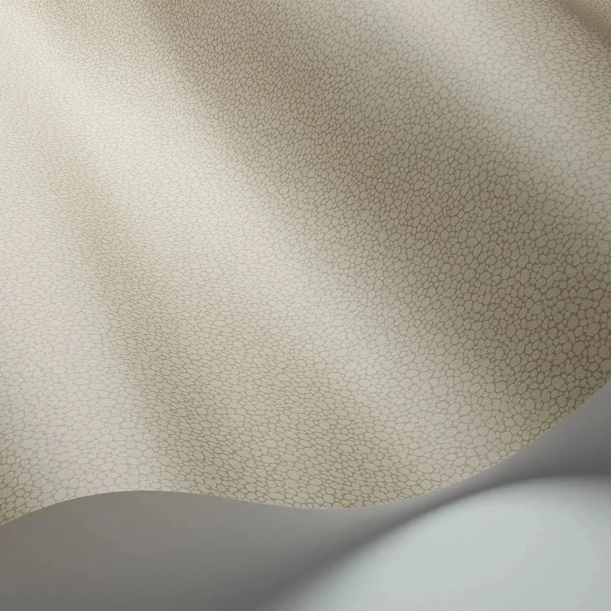 Pebble Wallpaper - Cole & Son