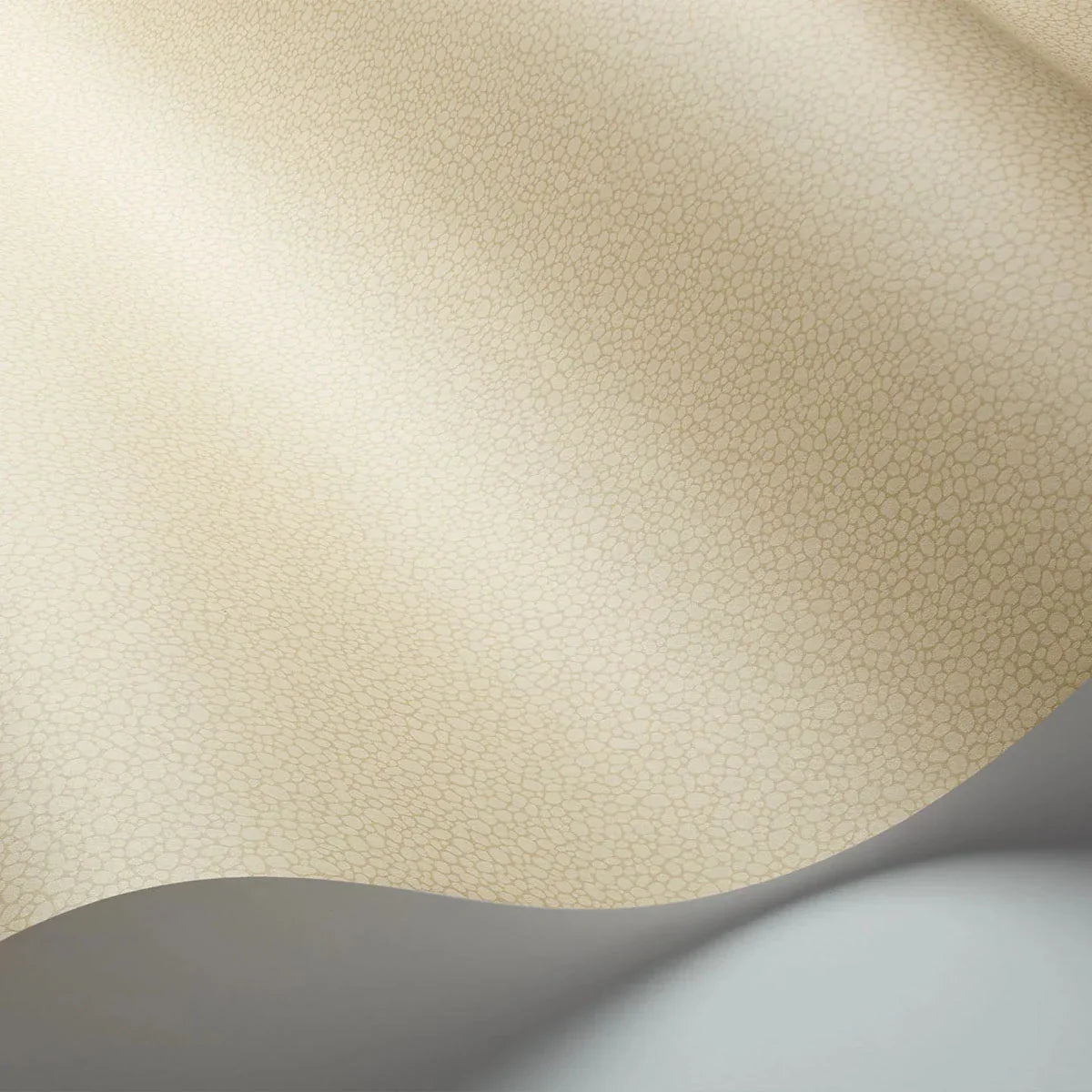 Pebble Wallpaper - Cole & Son