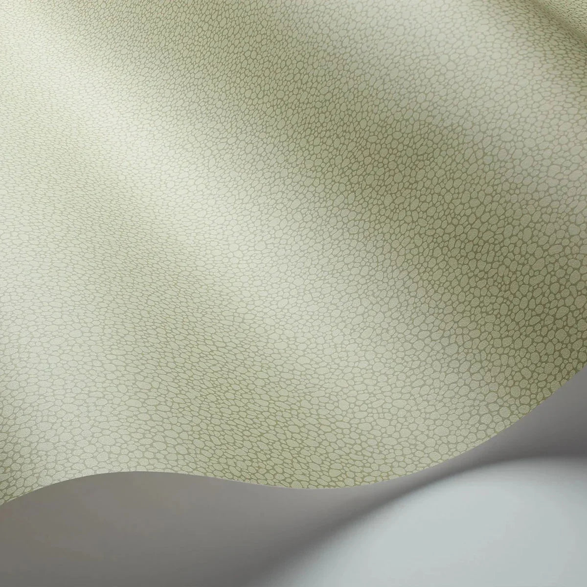 Pebble Wallpaper - Cole & Son