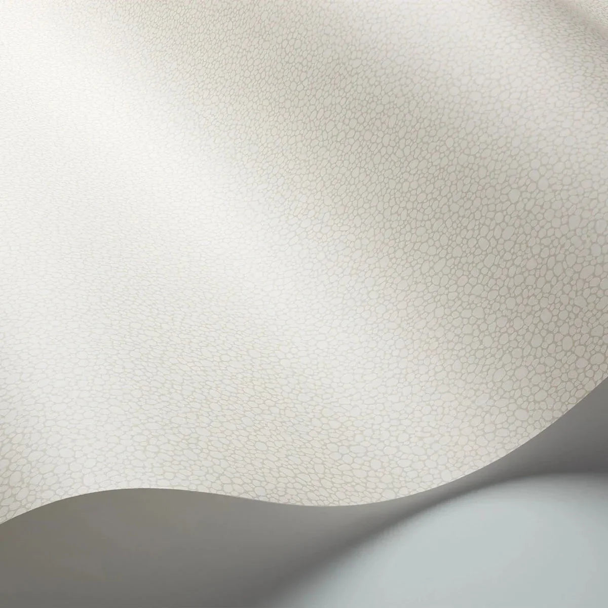 Pebble Wallpaper - Cole & Son