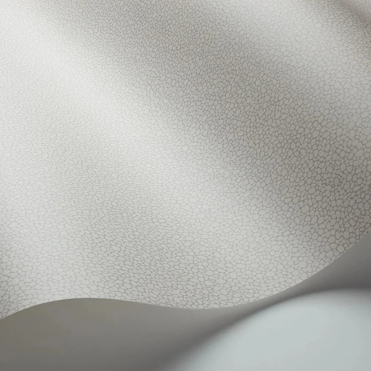 Pebble Wallpaper - Cole & Son