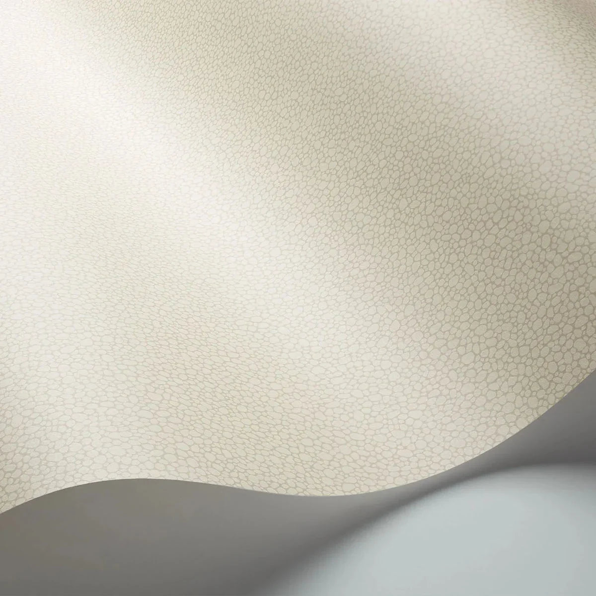 Pebble Wallpaper - Cole & Son