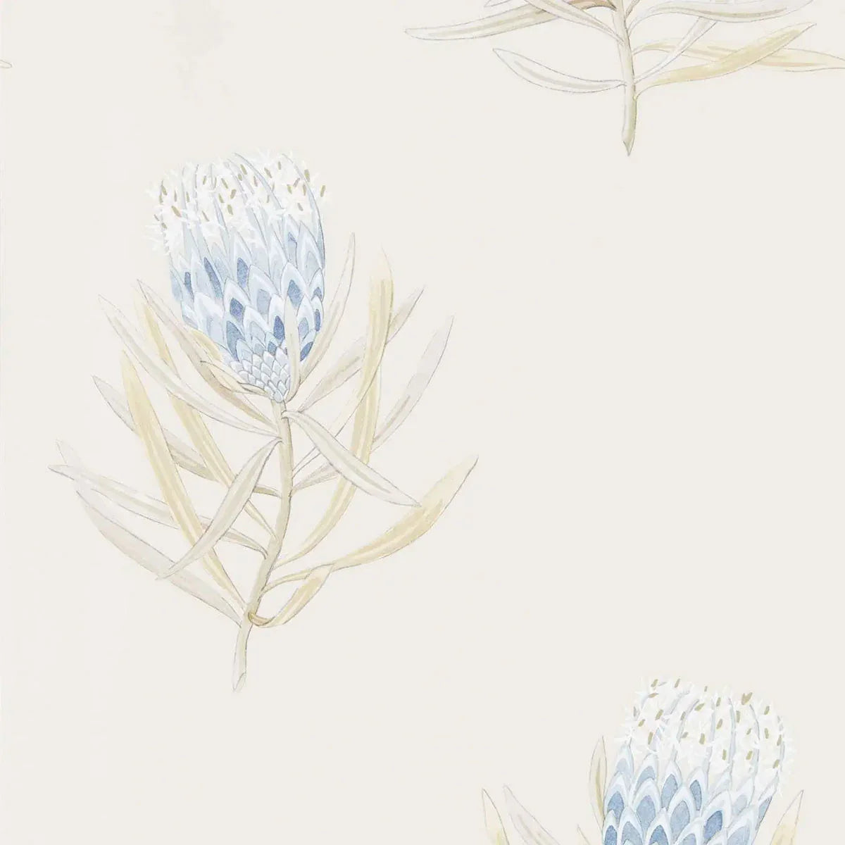 Protea Flower Wallpaper - Sanderson