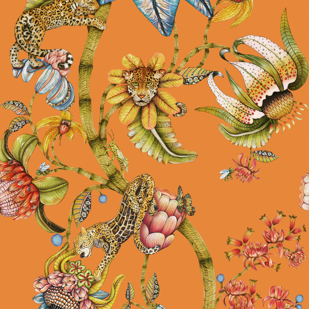 Protea Panthera Wallpaper - Cole & Son