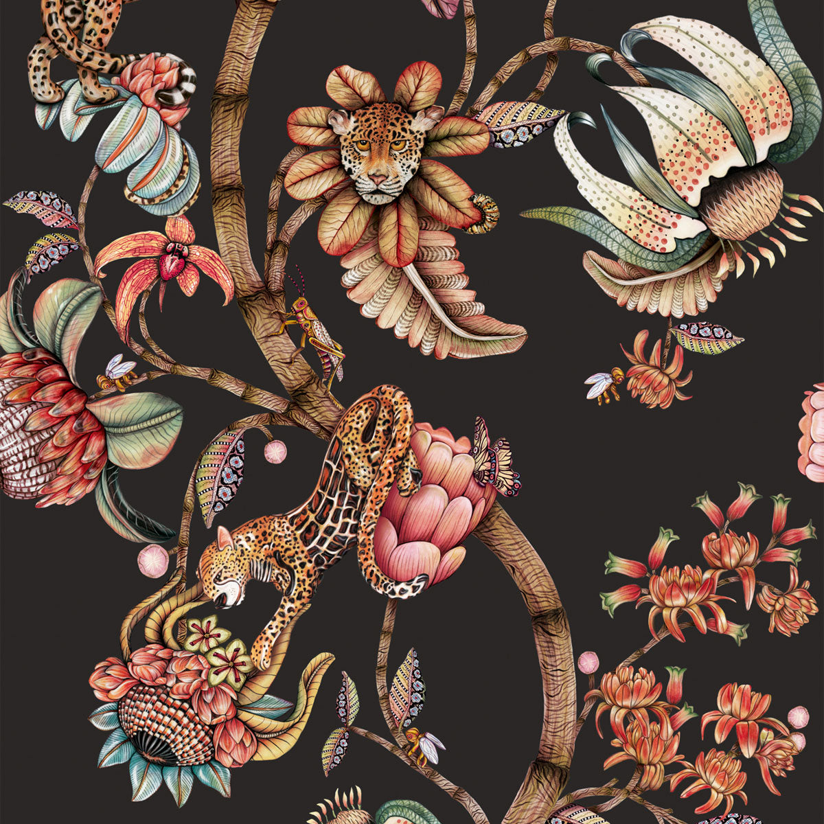 Protea Panthera Wallpaper - Cole & Son