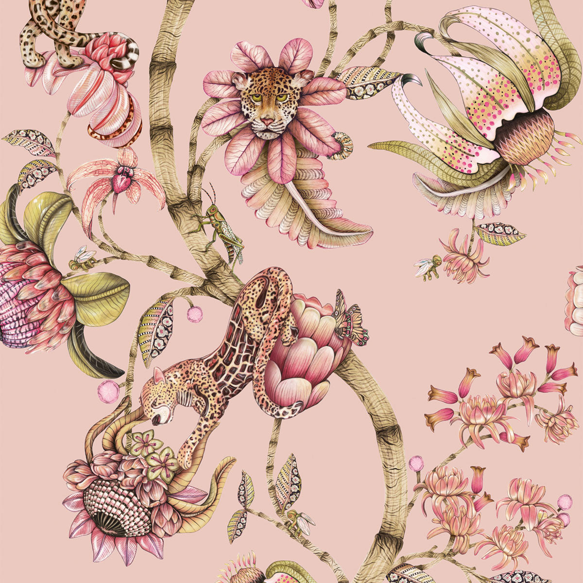 Protea Panthera Wallpaper - Cole & Son