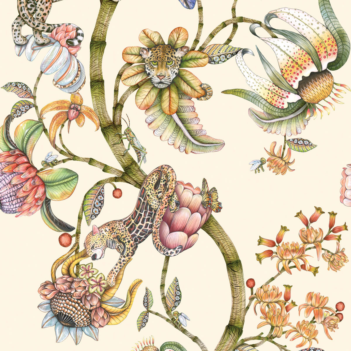 Protea Panthera Wallpaper - Cole & Son