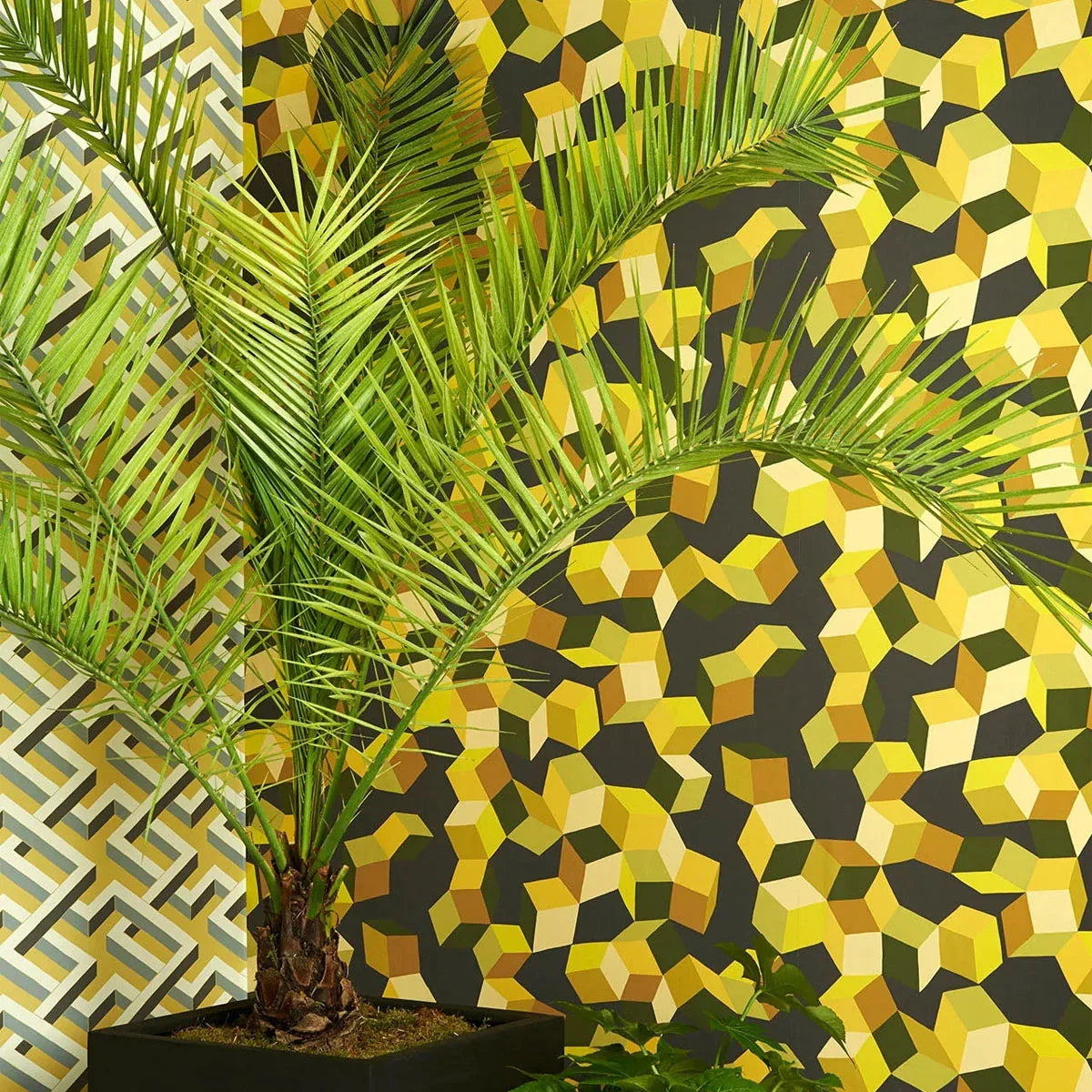 Puzzle Wallpaper - Cole & Son
