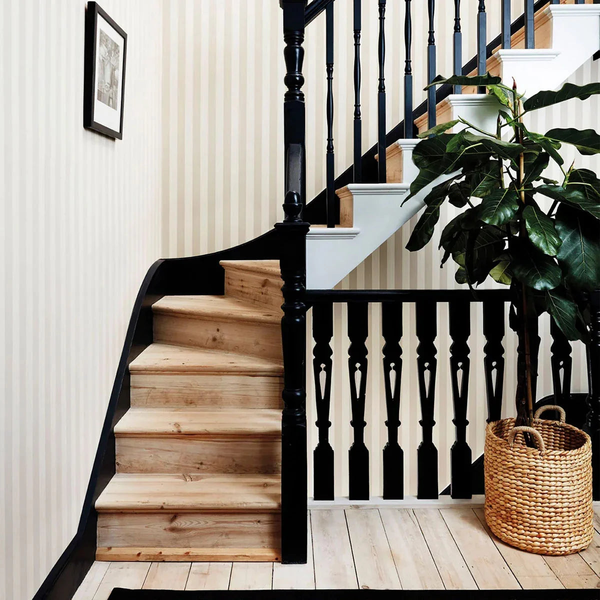 Regatta Stripe Wallpaper - Cole & Son