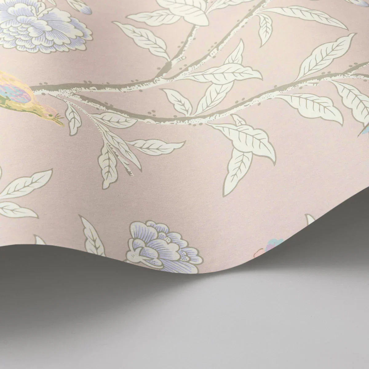 Roseberry with Birds Wallpaper - Cole & Son