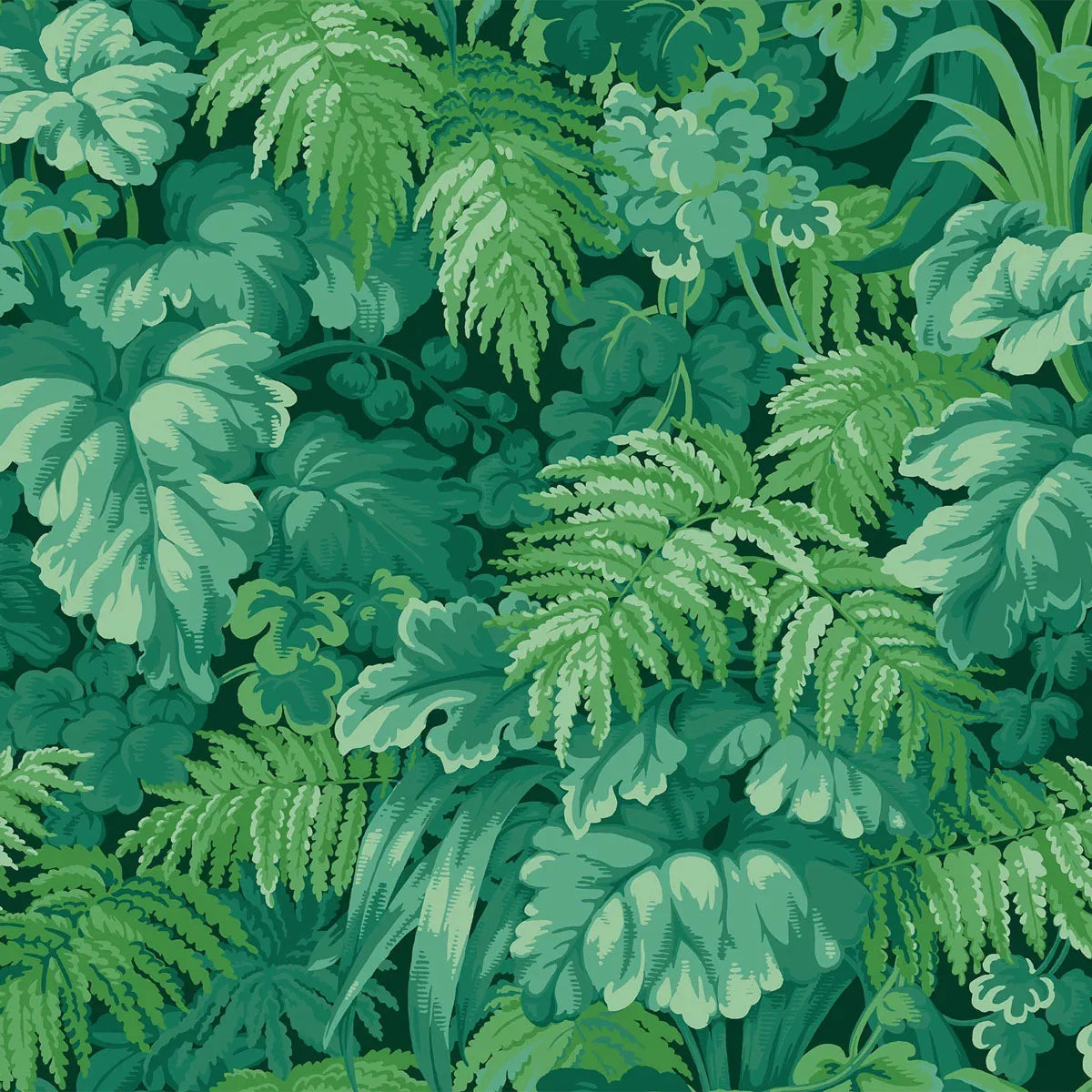 Royal Fernery Wallpaper - Cole & Son