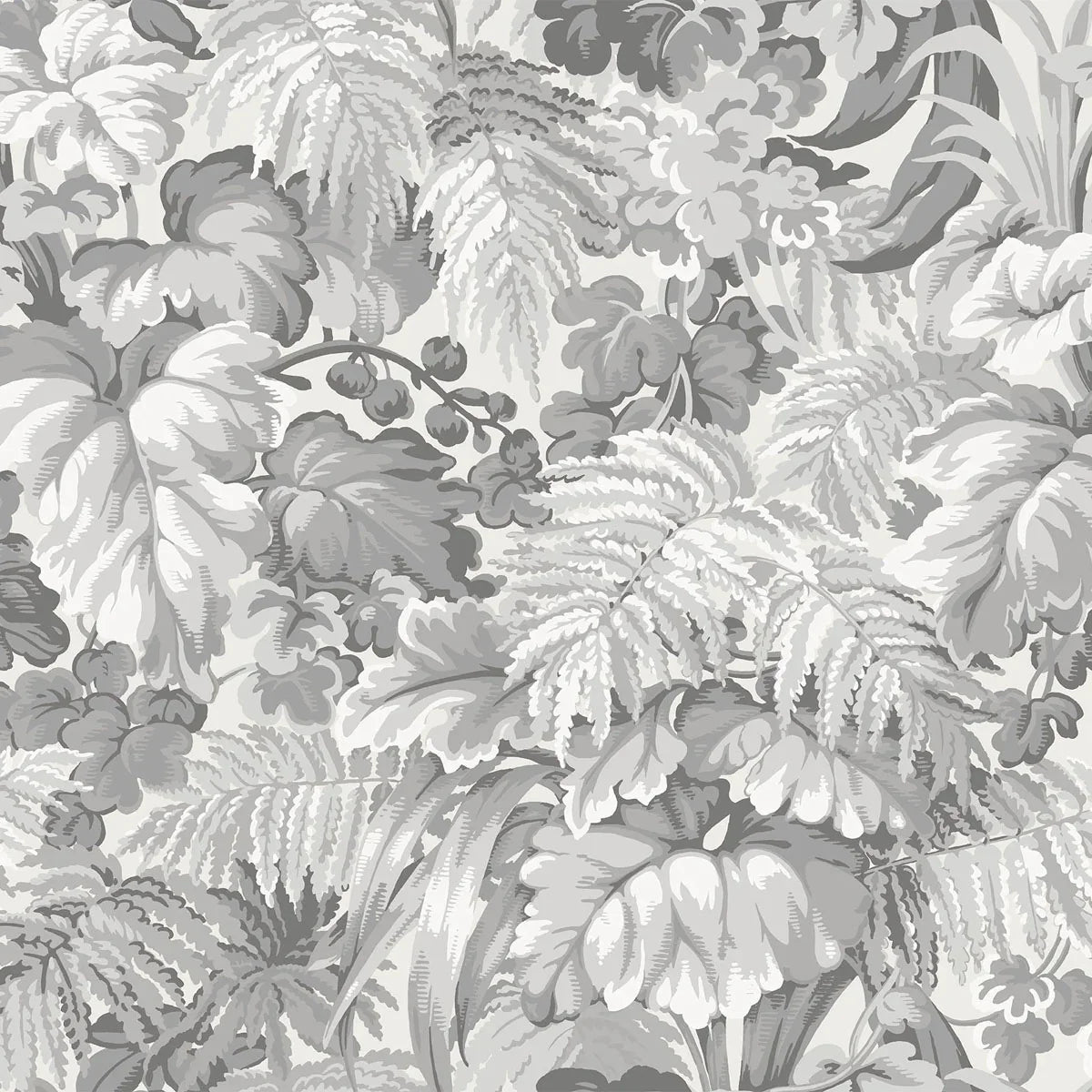 Royal Fernery Wallpaper - Cole & Son