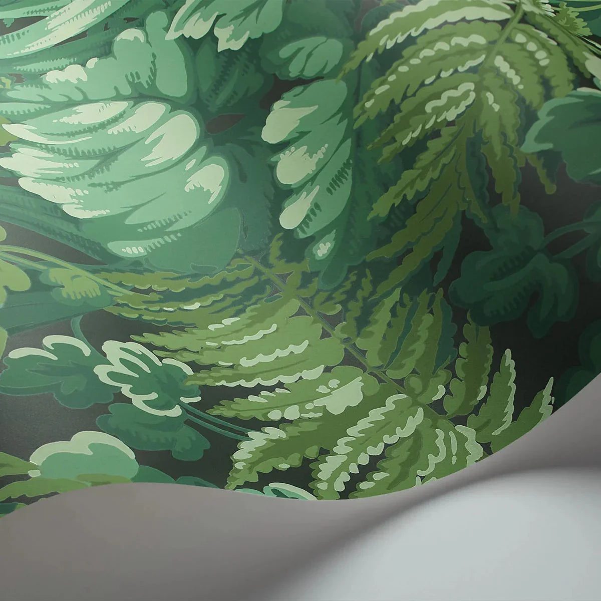 Royal Fernery Wallpaper - Cole & Son
