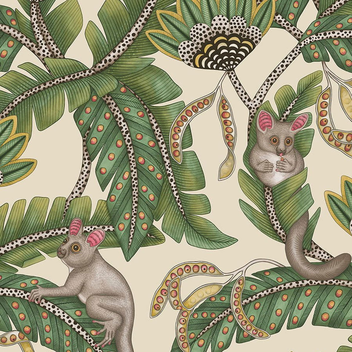 Bush Baby Wallpaper - Cole & Son