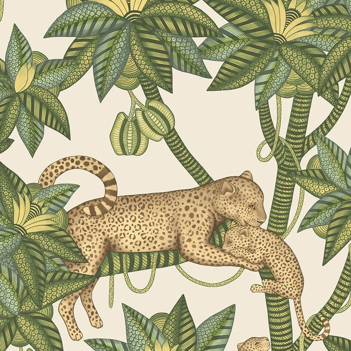 Satara Wallpaper - Cole & Son