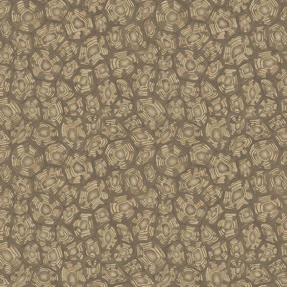 Savanna Shell Wallpaper - Cole & Son