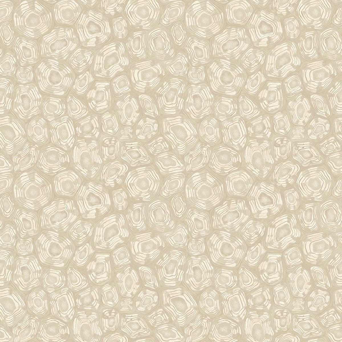 Savanna Shell Wallpaper - Cole & Son