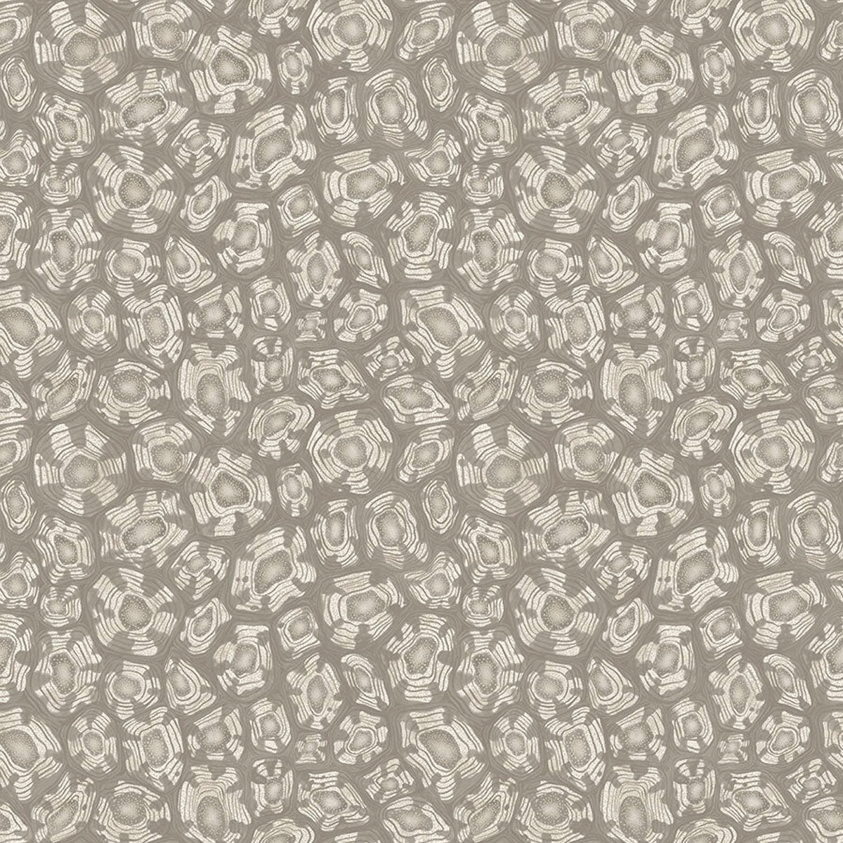 Savanna Shell Wallpaper - Cole & Son