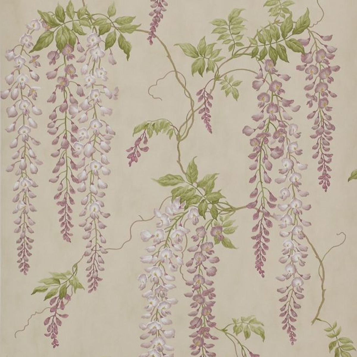 Colefax &amp; Fowler - Seraphina Wallpaper