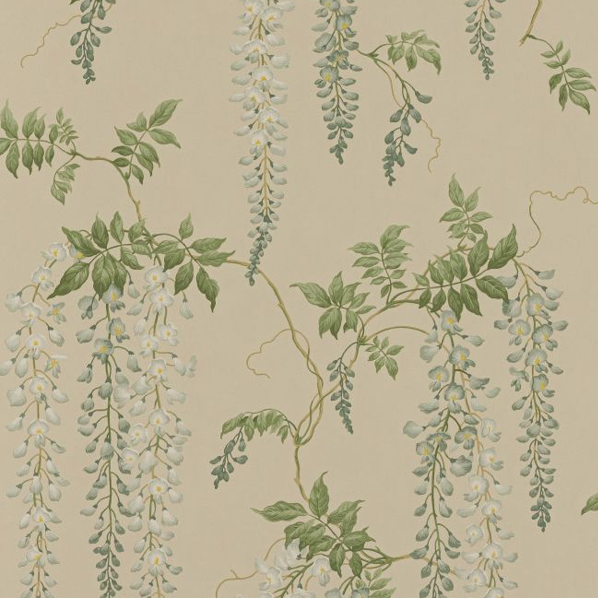 Colefax &amp; Fowler - Seraphina Wallpaper