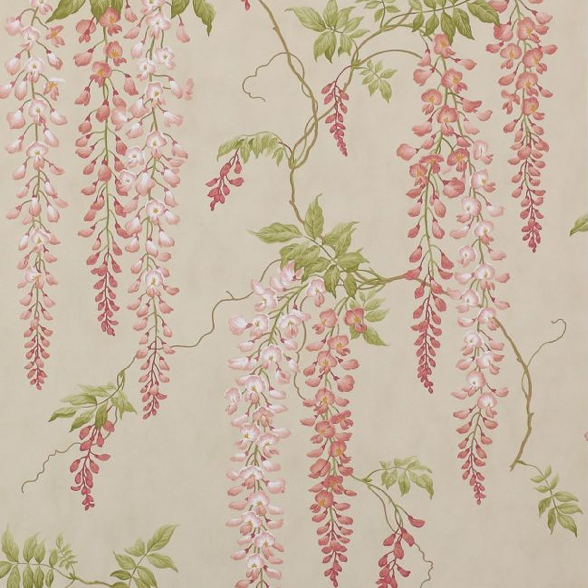 Colefax &amp; Fowler - Seraphina Wallpaper