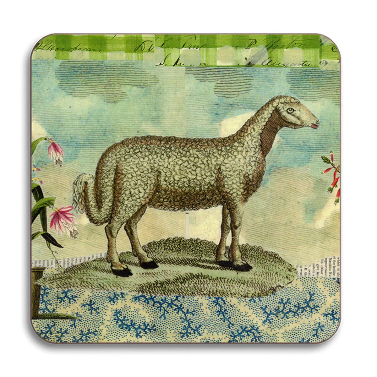 Coaster - Avenida Home