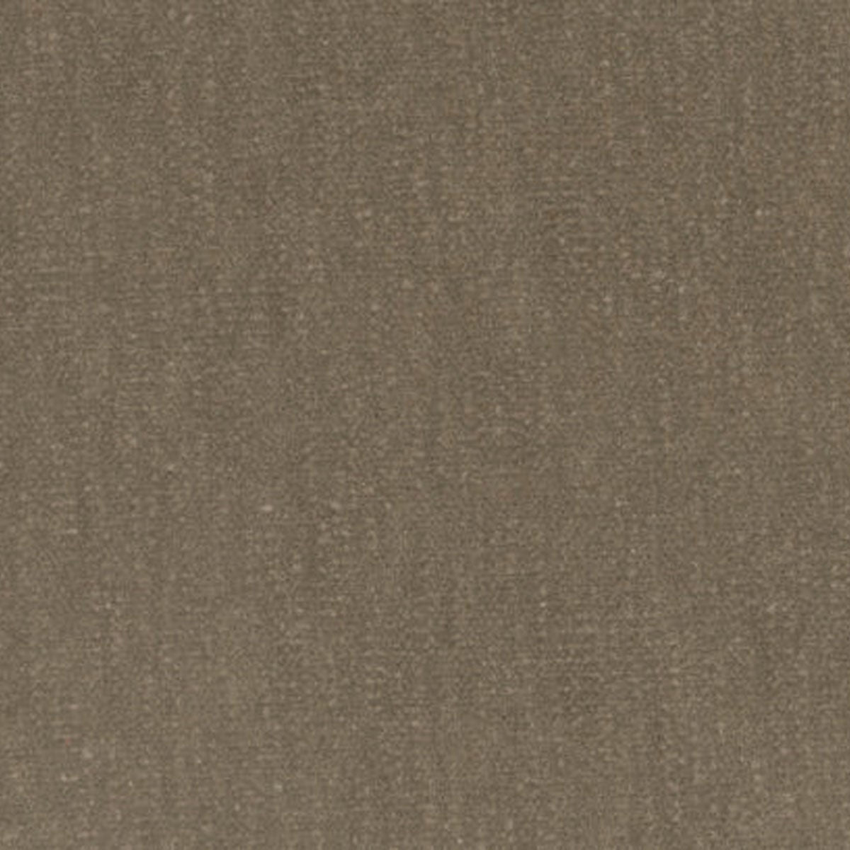 Slub Velvet Fabric - JORO