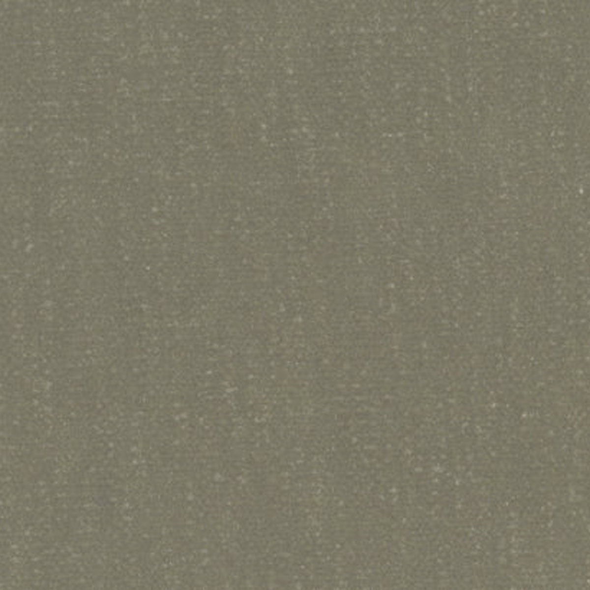Slub Velvet Fabric - JORO