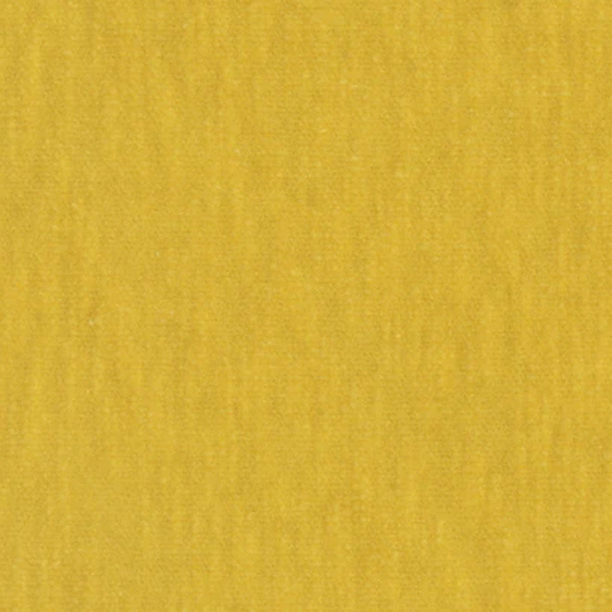 Slub Velvet Fabric - JORO
