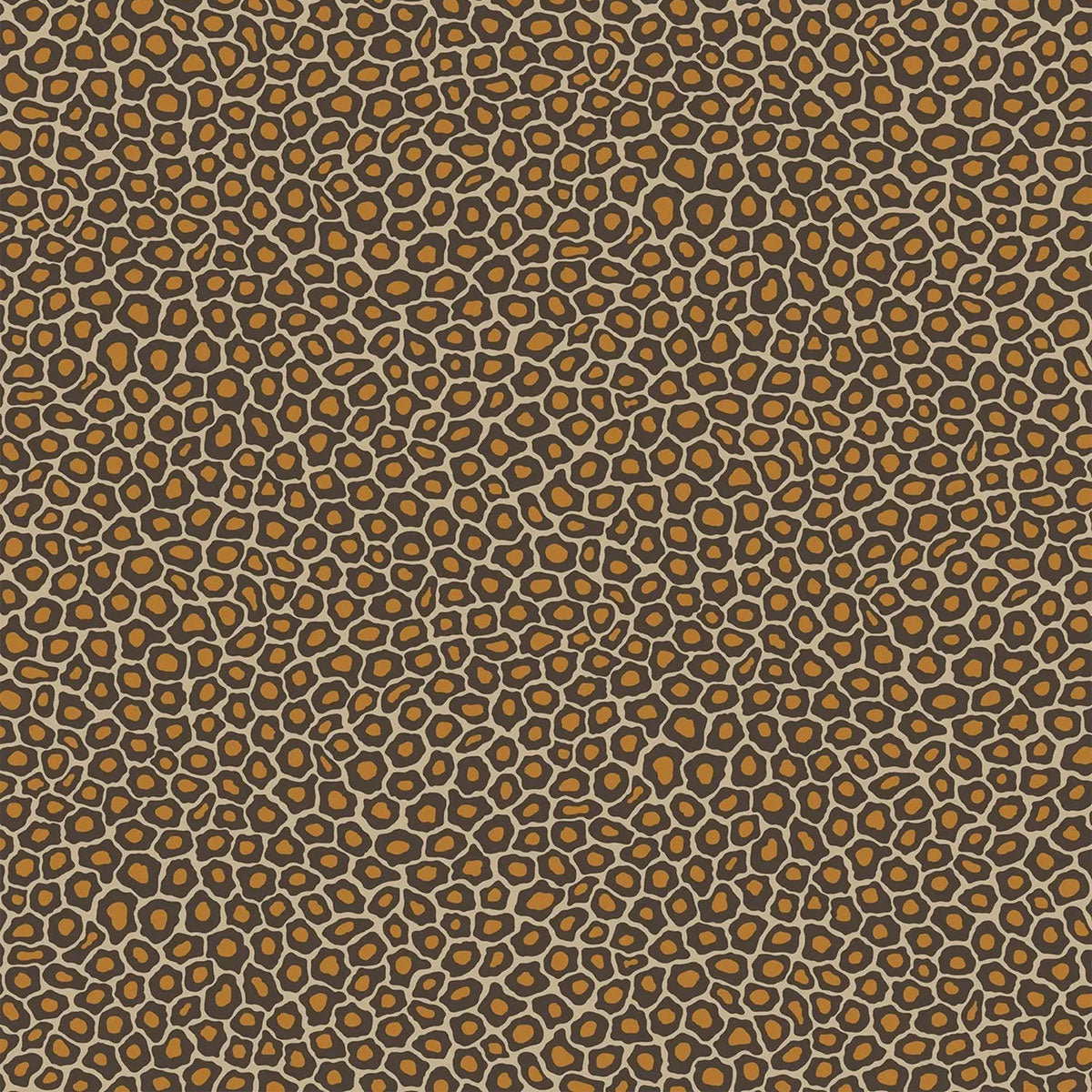 Senzo Spot Wallpaper- Cole & Son