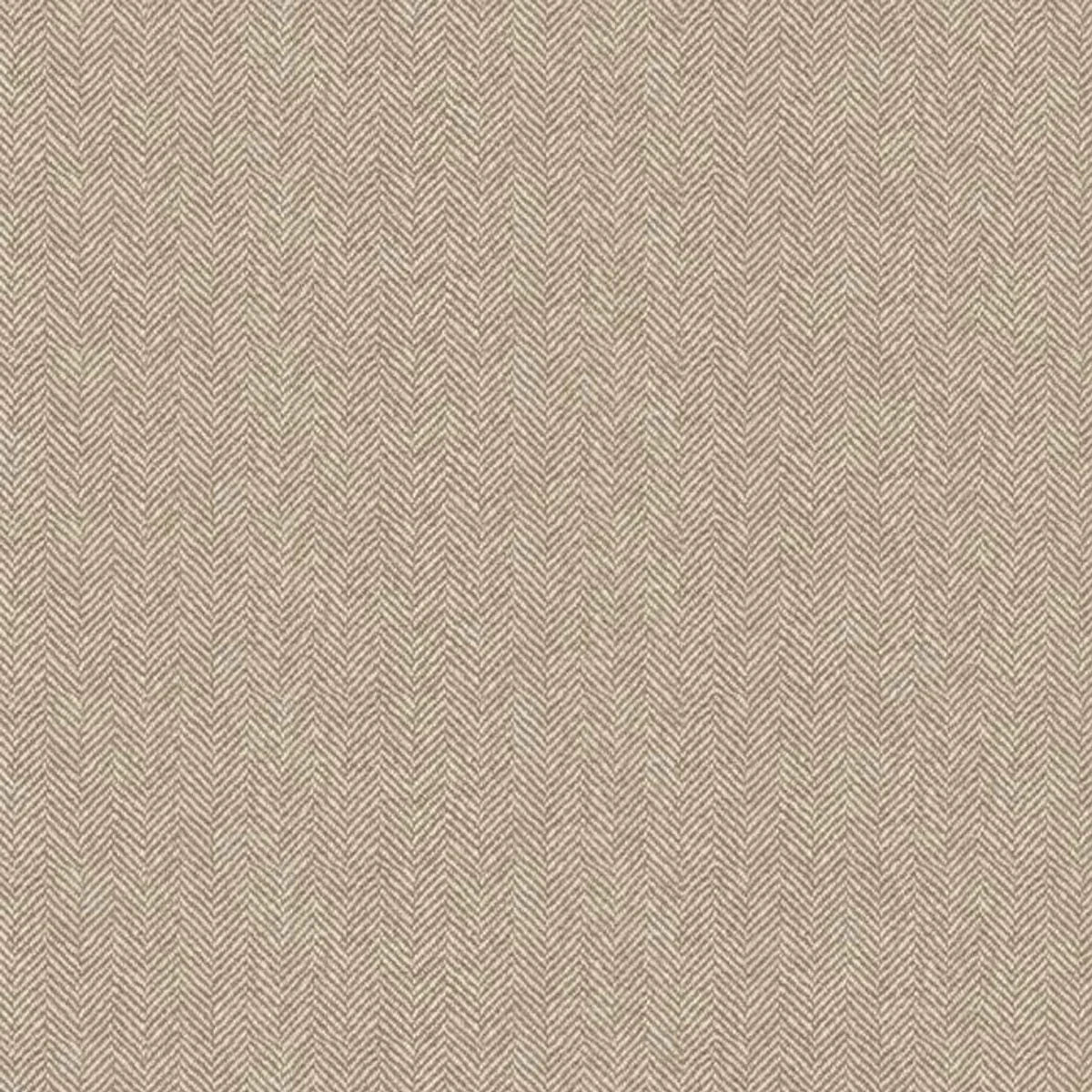 Spike Wallpaper - Coordonne