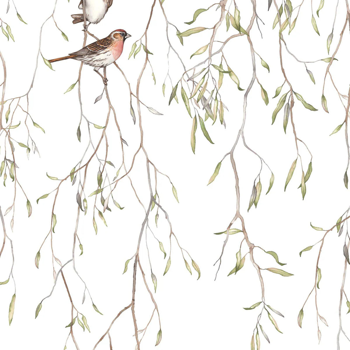 Spring Birds Mural Wallpaper - Borastapeter