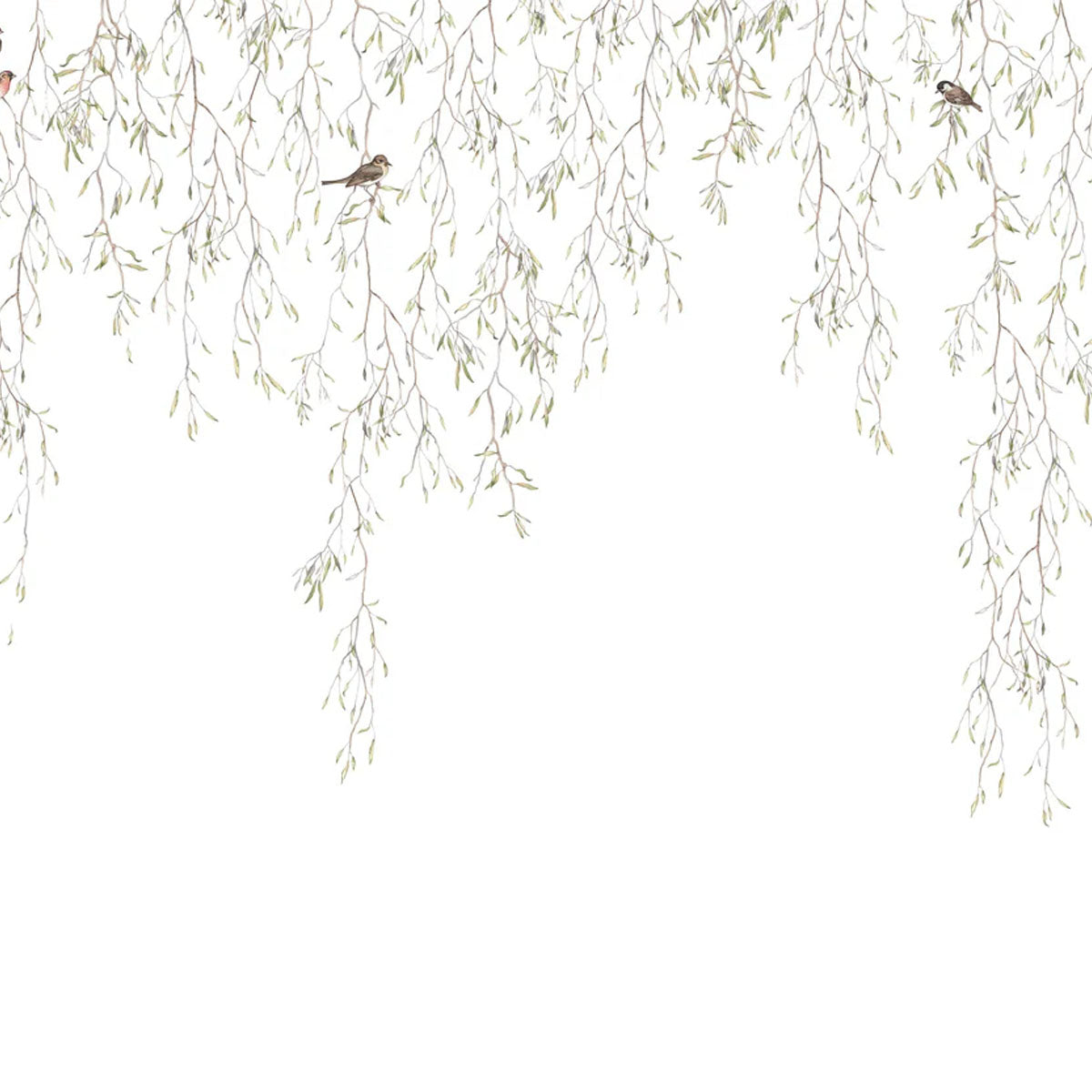 Spring Birds Mural Wallpaper - Borastapeter