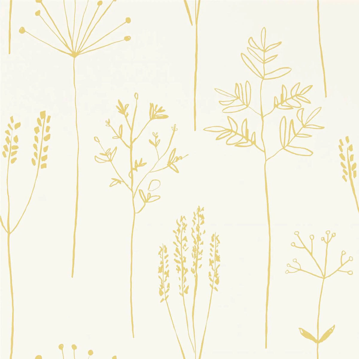 Stipa Wallpaper - Scion