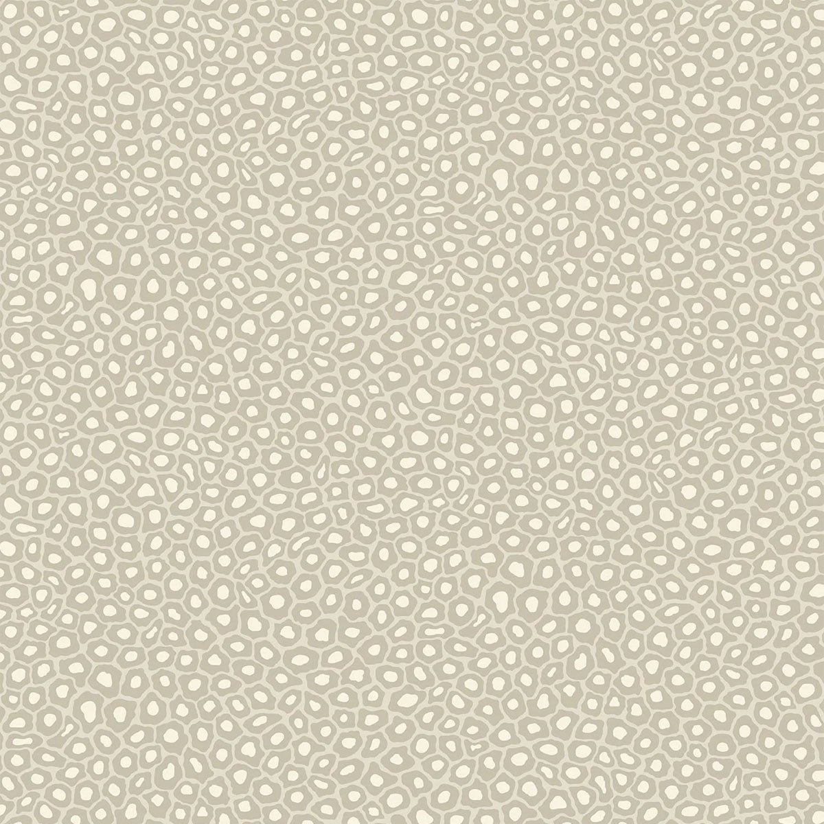 Senzo Spot Wallpaper- Cole & Son