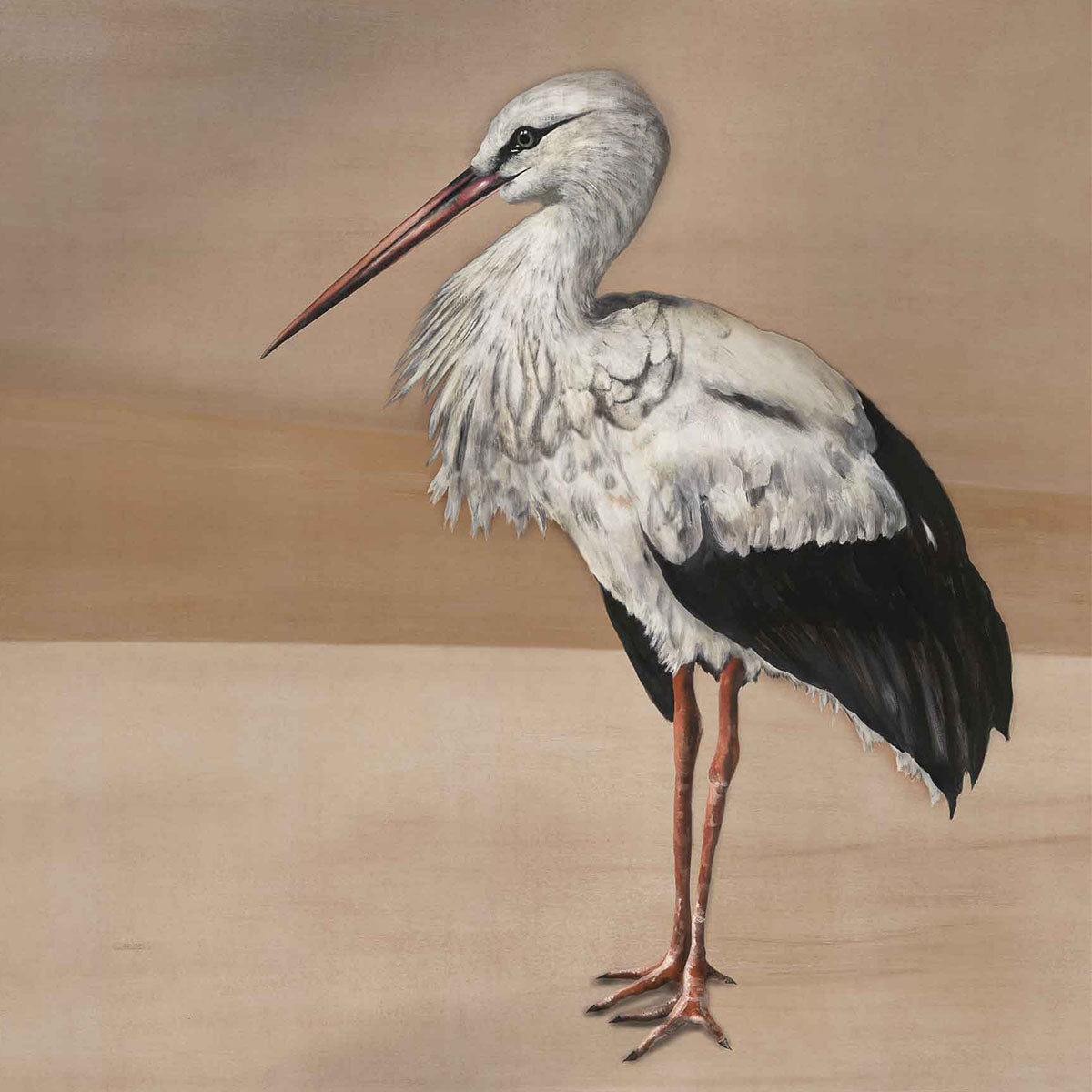 Stork Mother Mural Wallpaper - Coordonne