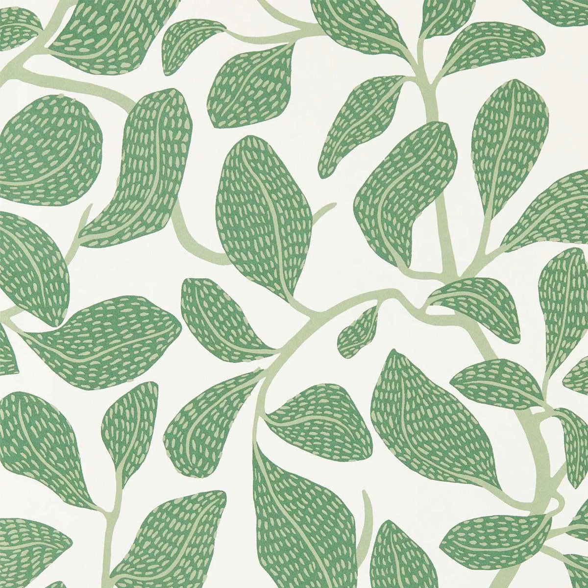 Sweet Bay Wallpaper - Scion