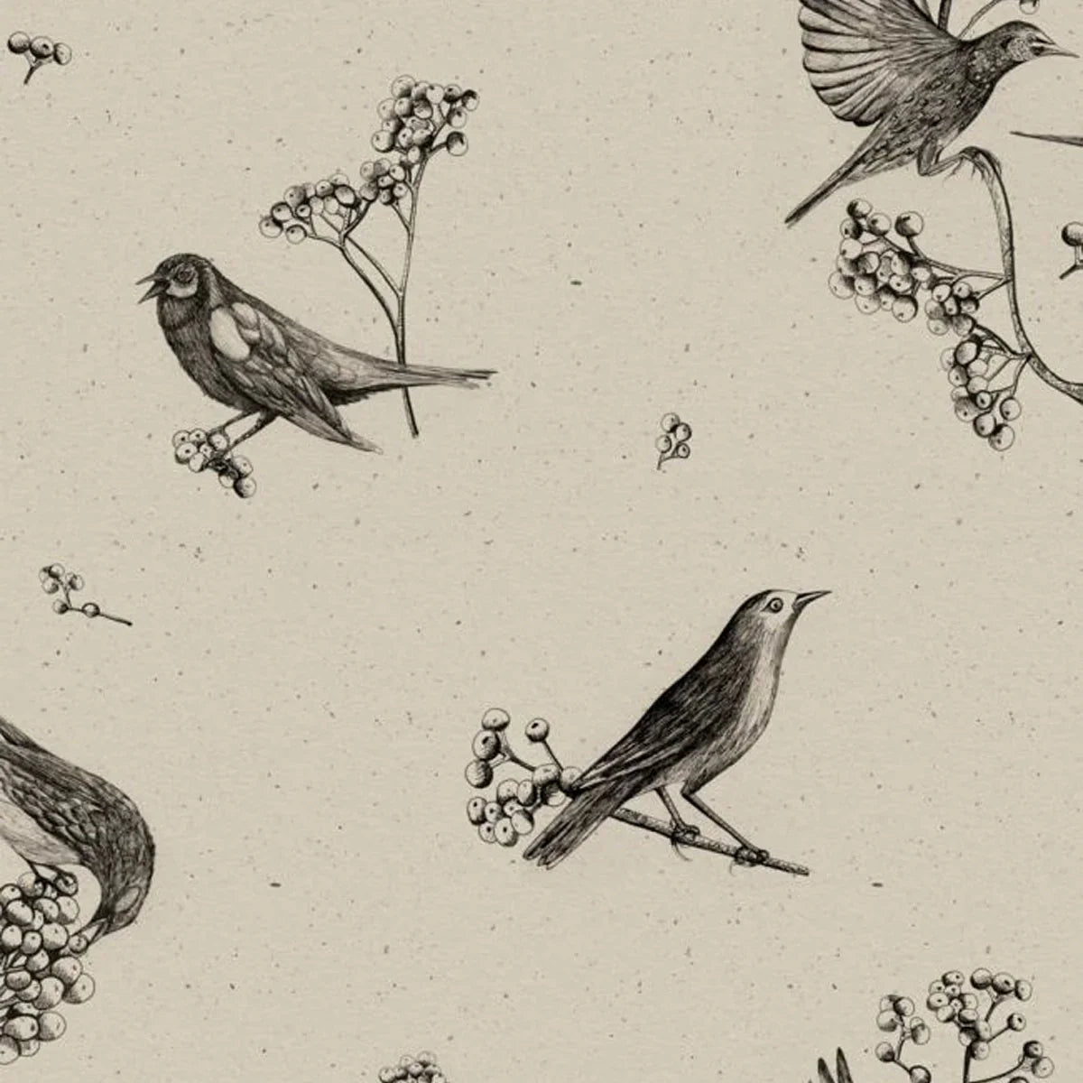 Sweet Birds Wallpaper - Coordonne