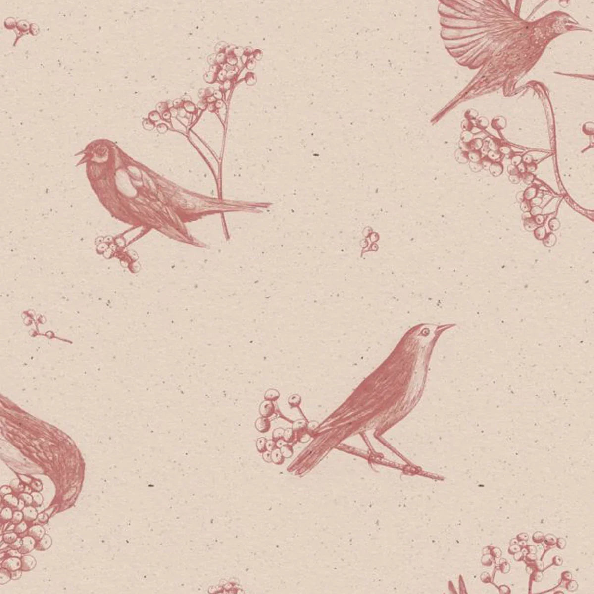 Sweet Birds Wallpaper - Coordonne