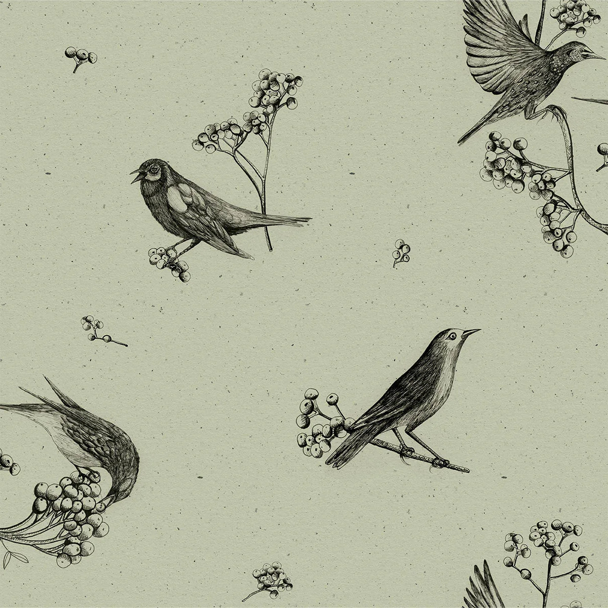 Sweet Birds Wallpaper - Coordonne
