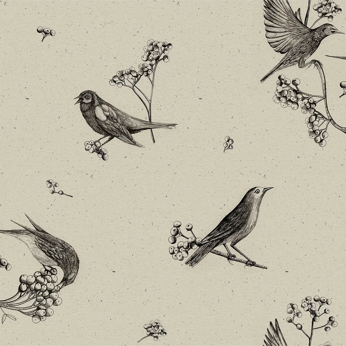 Sweet Birds Wallpaper - Coordonne