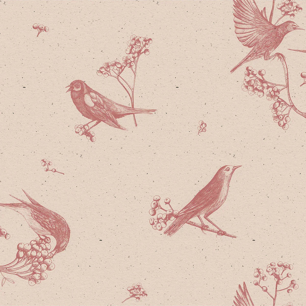 Sweet Birds Wallpaper - Coordonne