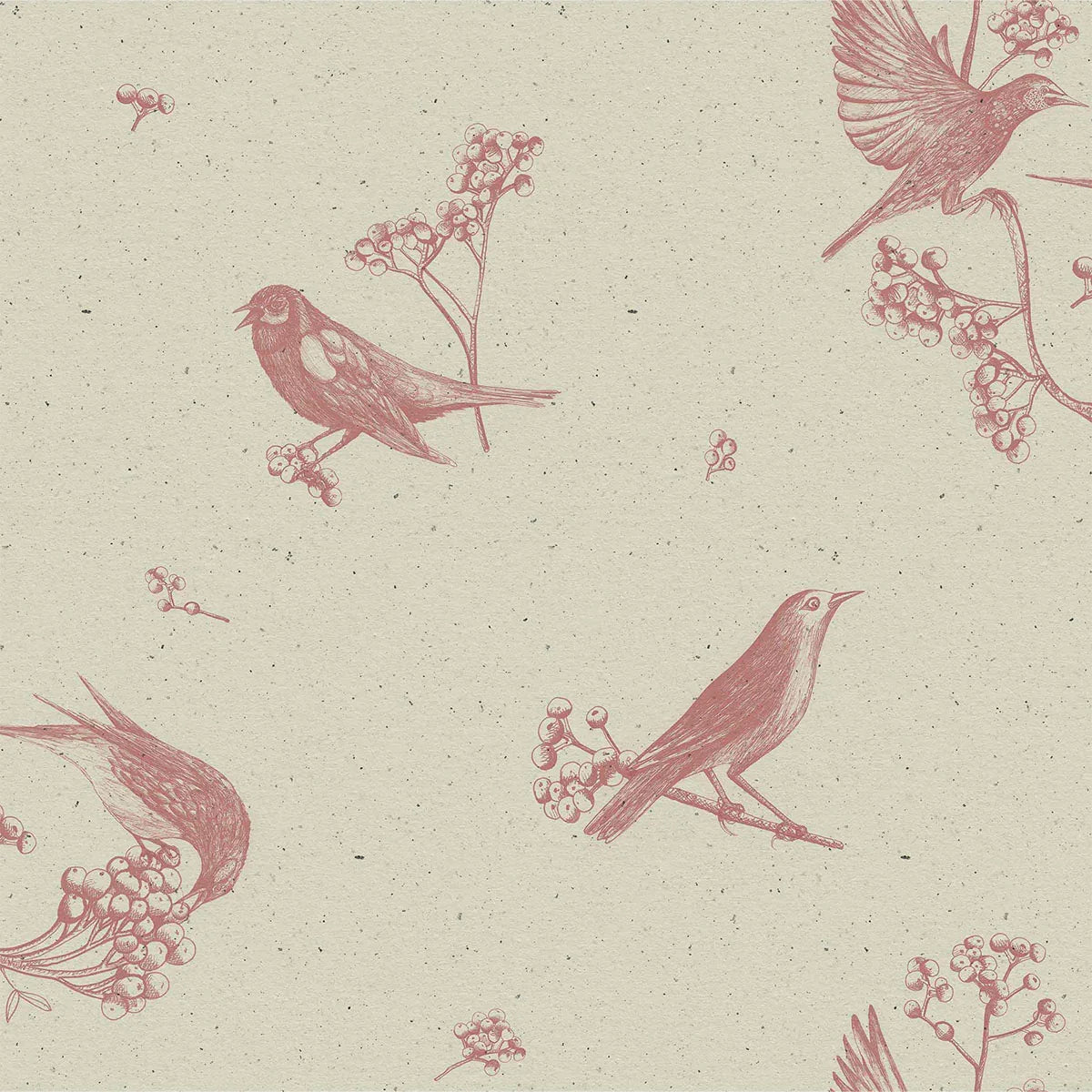 Sweet Birds Wallpaper - Coordonne