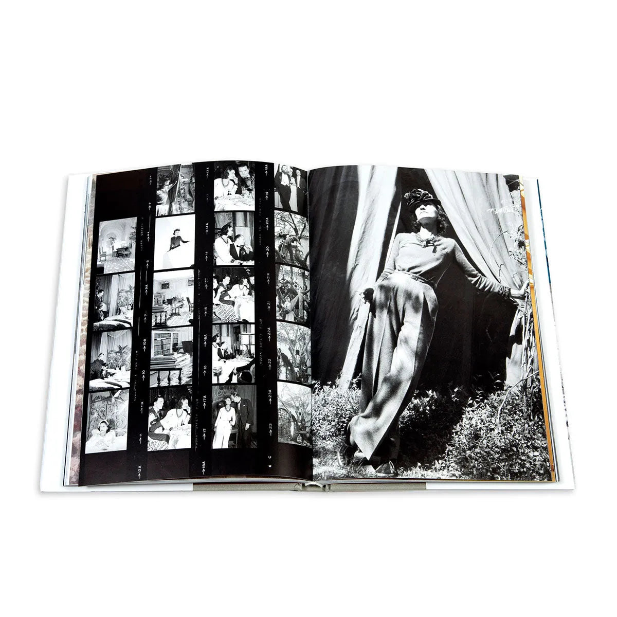 The French Riviera in the 1920s - Assouline
