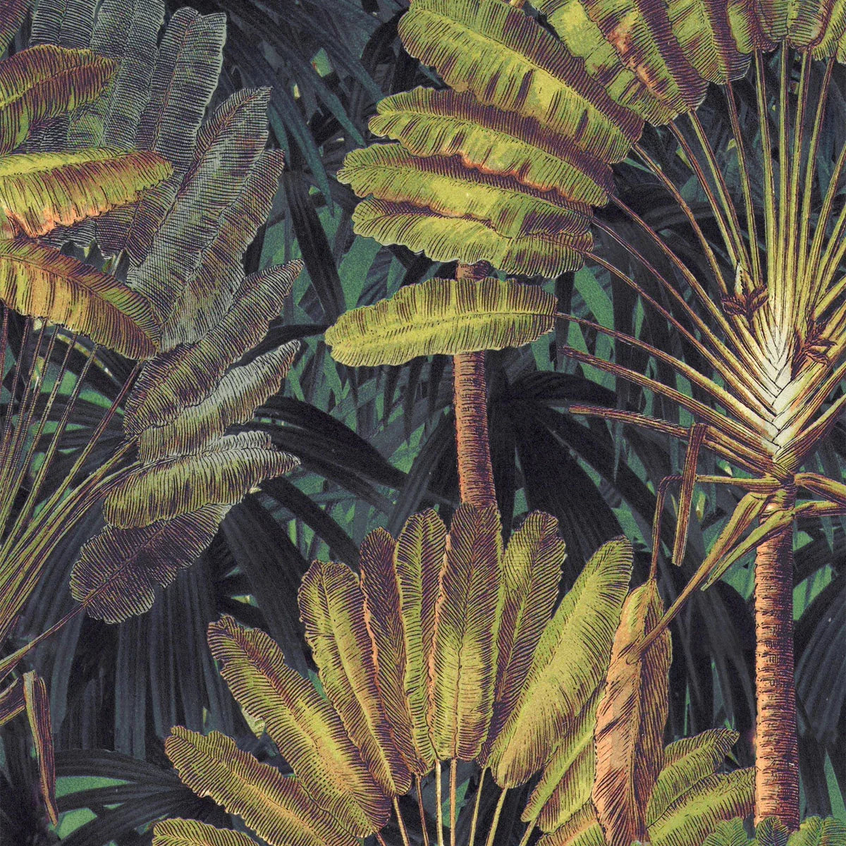 Traveller's Palm Wallpaper - Mind The Gap