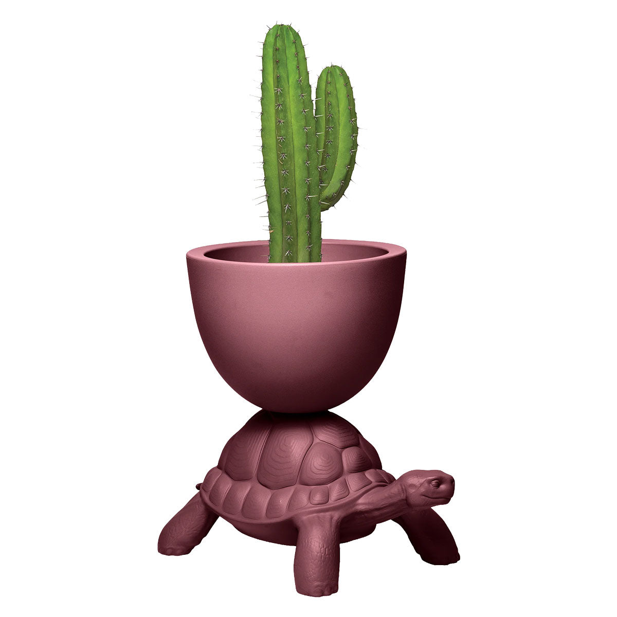 Turtle Carry Planter/Champagne Cooler - Qeeboo