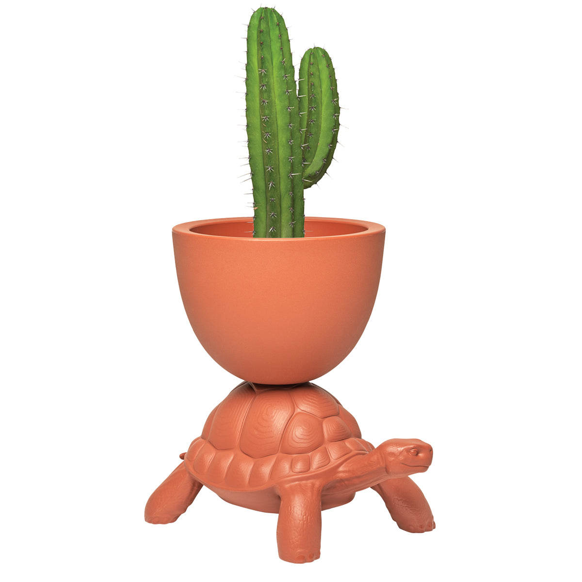 Turtle Carry Planter/Champagne Cooler - Qeeboo