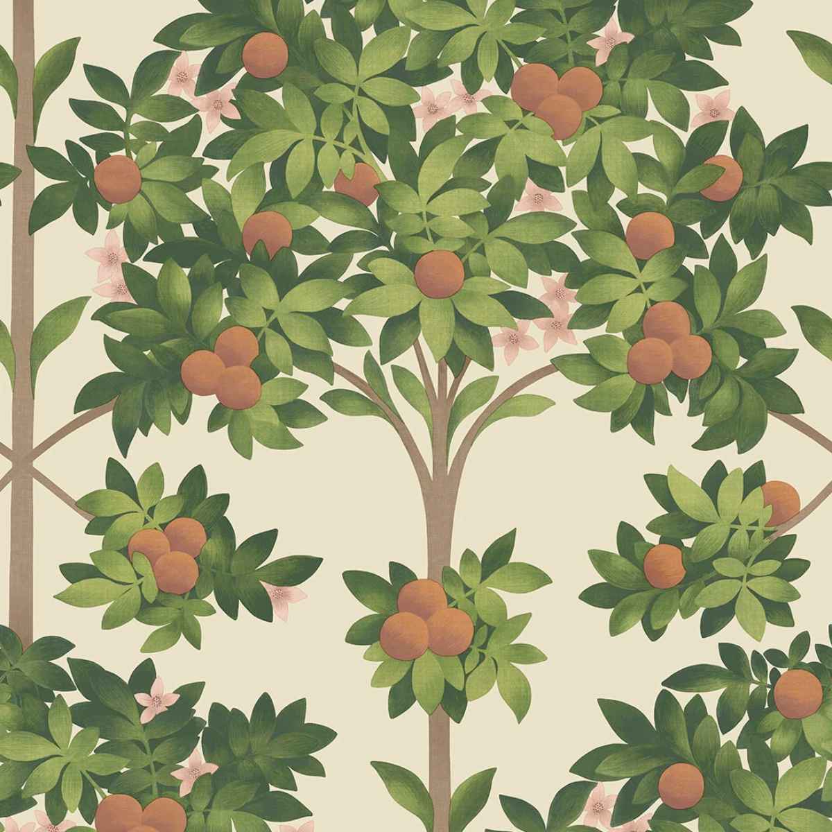 Cole &amp; Son &#39;Orange Blossom - Orange &amp; Spring Green on Parchment&#39; Wallpaper